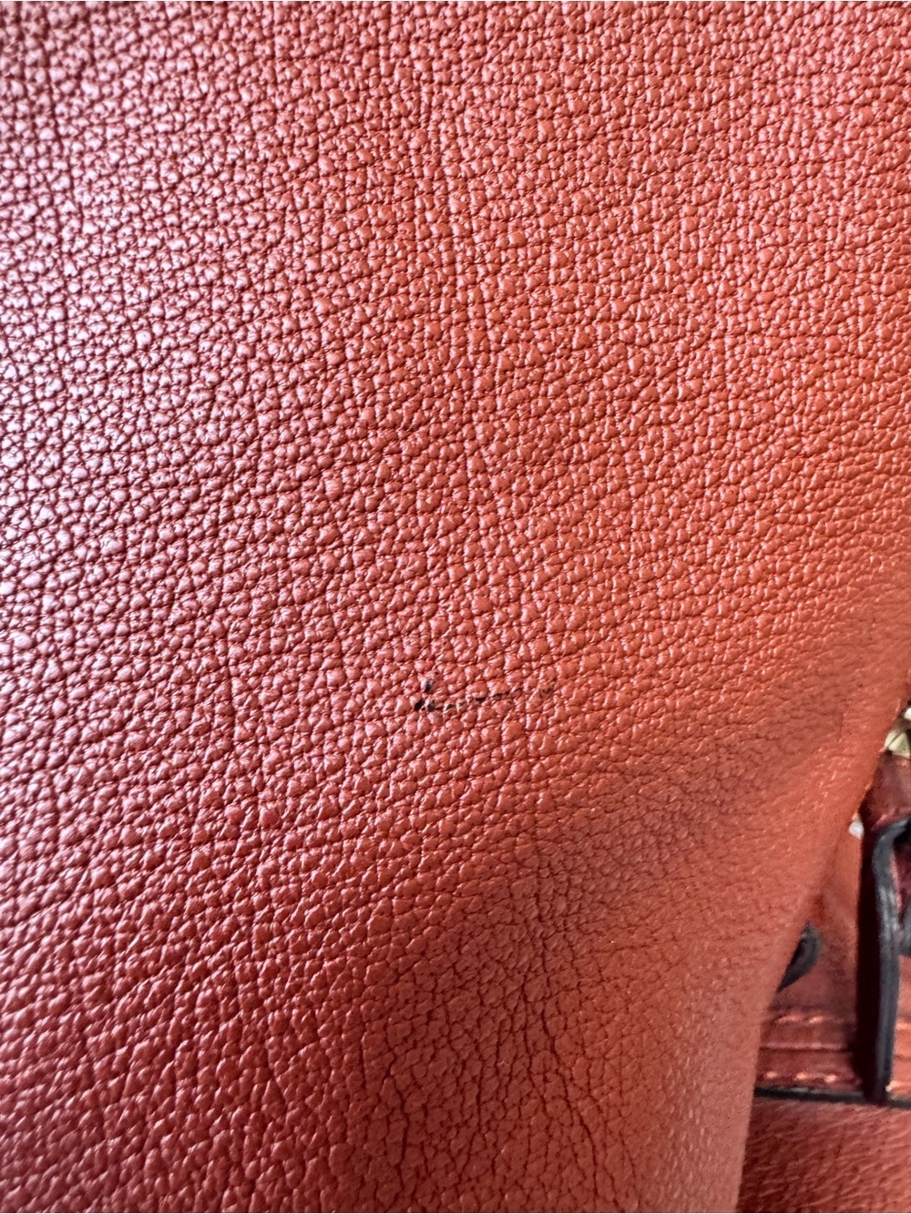 Chloé Elsie Leather Satchel in Whiskey with Gold Hardware - Picture 5 of 14